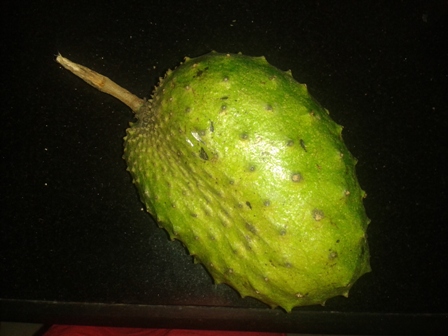 soursop